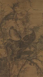 Dos halcones en un matorral